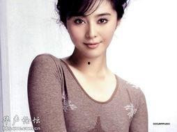 山东有哪些明星?,璀璨星河中的齐鲁之光